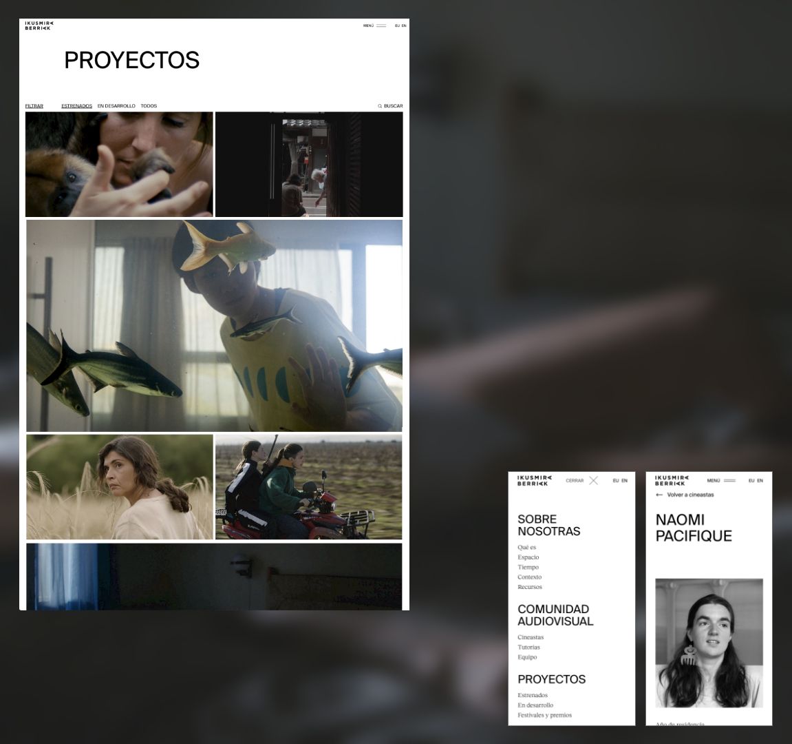 Ikusmira Berriak rediseño web Polo Digital