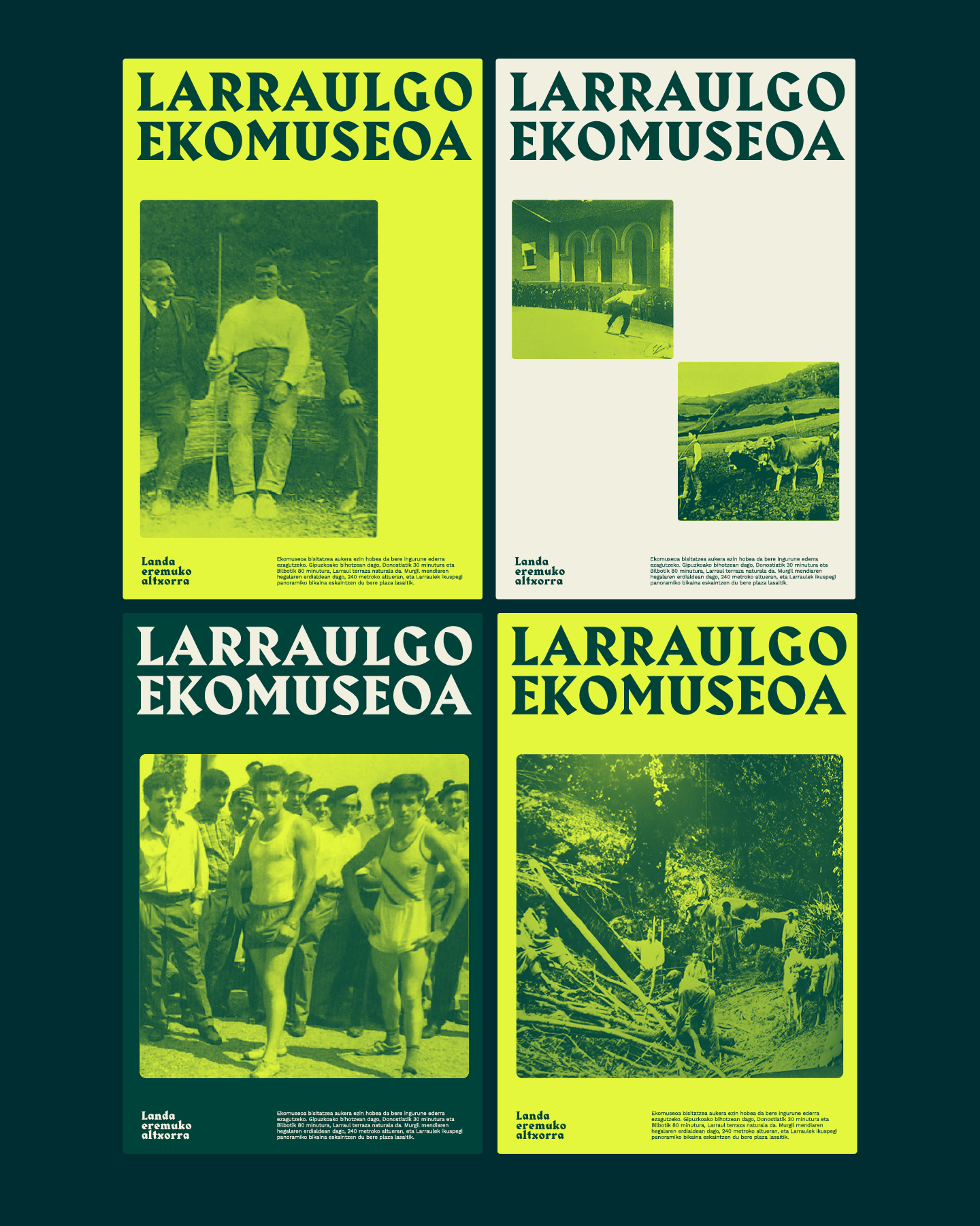Larrauleko Museoa web Polo Digital