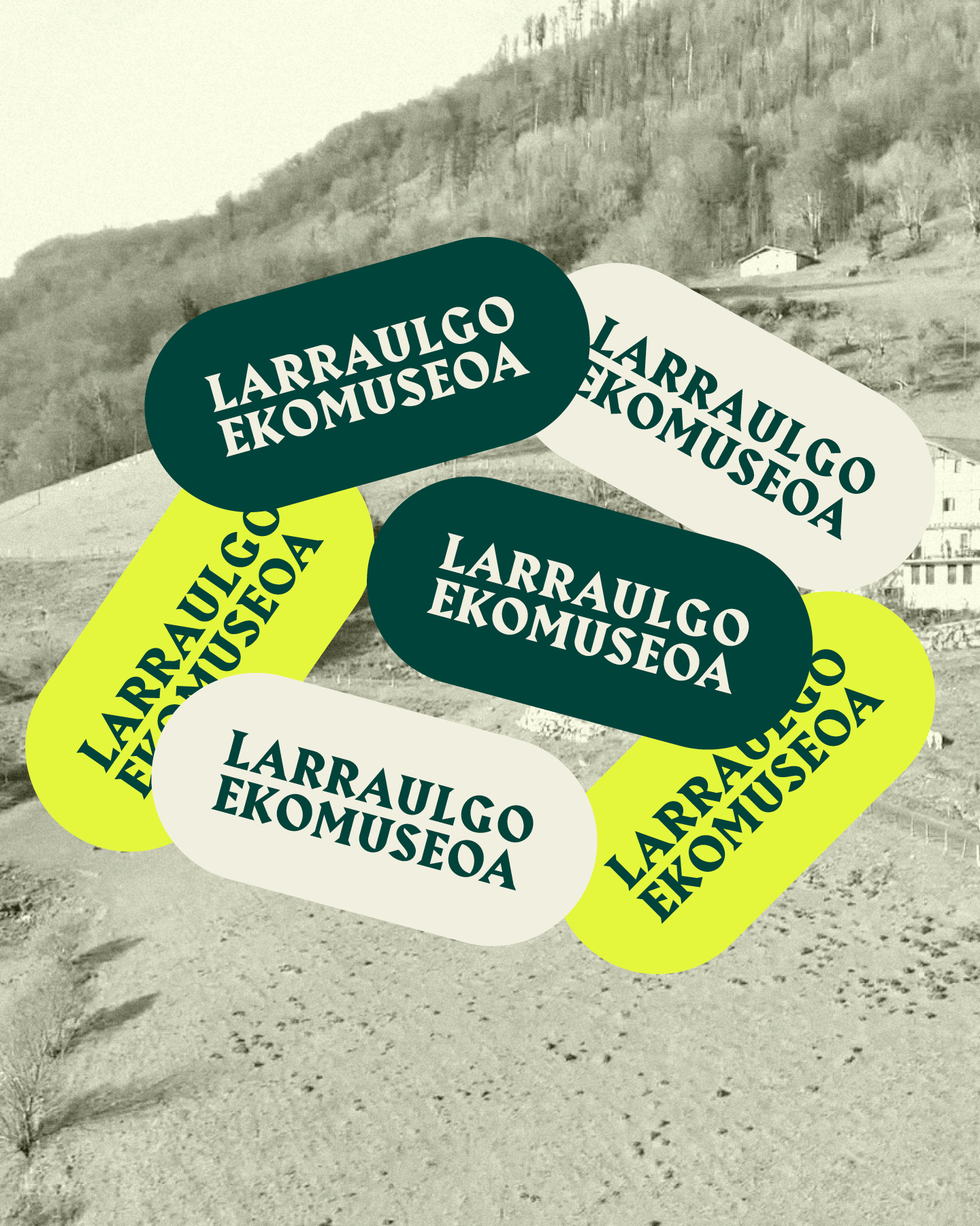 Larrauleko Museoa proyecto identidad gráfica y web